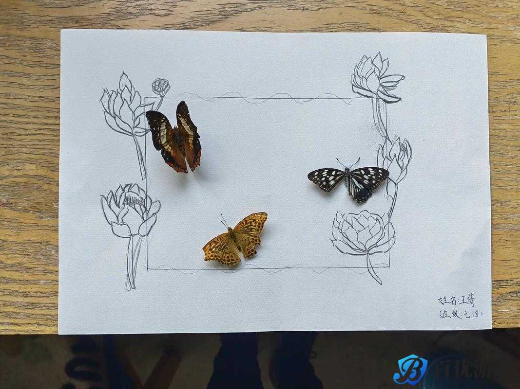 生物课的教具如何实用选择?